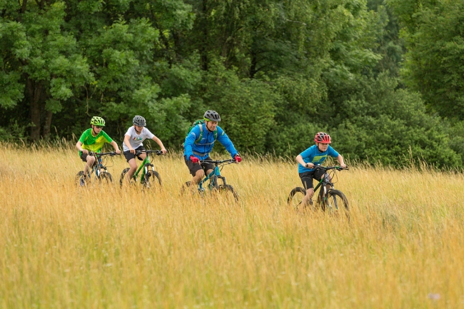 4 Radfahrer*innen im Feld